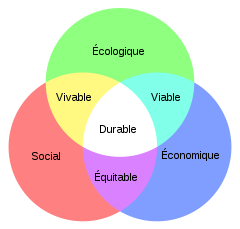 schéma du développement durable
