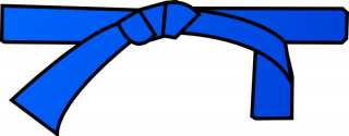 File:800px-Ceinture bleue.png