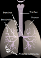 Thumbnail for version as of 16:15, 17 July 2014