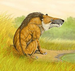 File:Andrewsarchus.jpg
