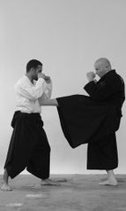 File:Ninjutsu.jpg