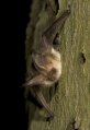 Thumbnail for version as of 13:15, 12 May 2015