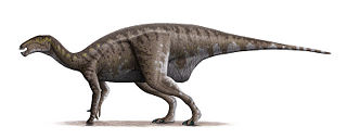 File:Iguanodon-Mantellisaurus atherfieldensis-Dinosaure.jpg