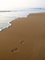 Thumbnail for version as of 06:35, 23 February 2010