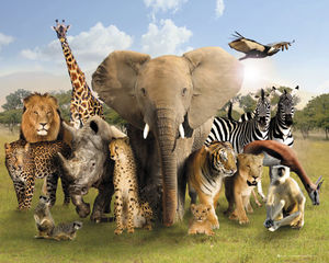 File:Animaux-sauvages.jpg