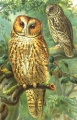Thumbnail for version as of 14:46, 7 May 2009