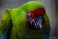 Thumbnail for version as of 16:18, 23 December 2011