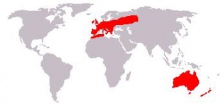 File:Répartition géographique.jpeg