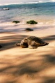 Thumbnail for version as of 14:36, 21 December 2010