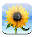 Thumbnail for version as of 06:39, 18 April 2012