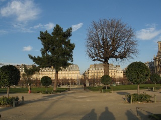 File:Les arbres-2764.jpg
