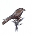 Thumbnail for version as of 13:31, 29 March 2010