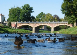 File:Madon-Mirecourt.jpg