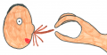 Thumbnail for version as of 06:20, 23 June 2015