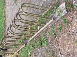 File:Rak.jpg