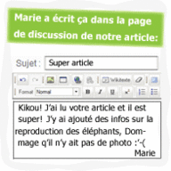 Bulle 8