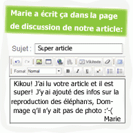 Bulle 8