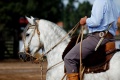 Thumbnail for version as of 18:09, 31 March 2012