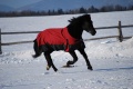 Thumbnail for version as of 20:33, 9 December 2011