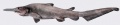 Thumbnail for version as of 14:27, 22 December 2013