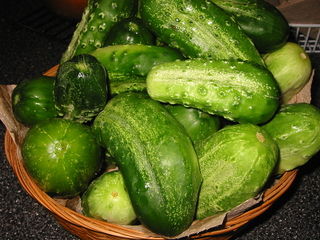 File:800px-PicklingCucumbers.jpg