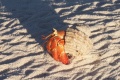 Thumbnail for version as of 09:08, 2 March 2012