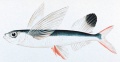 Thumbnail for version as of 16:40, 25 June 2014