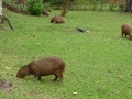 Thumbnail for version as of 15:36, 28 October 2008