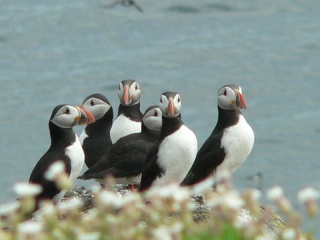 File:P1000611-6688.jpg