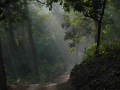 Thumbnail for version as of 16:41, 30 May 2014