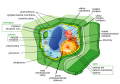 Thumbnail for version as of 08:57, 7 May 2013