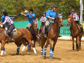 File:Horse-ball-Horseball.jpg