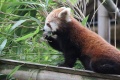 Thumbnail for version as of 12:19, 29 October 2012