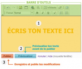 File:Wikimini-editing window-fr.jpg