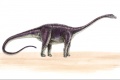 Thumbnail for version as of 14:45, 18 November 2010