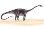 larger