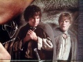Thumbnail for version as of 11:41, 11 July 2010