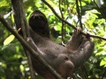 Thumbnail for version as of 14:39, 21 December 2010