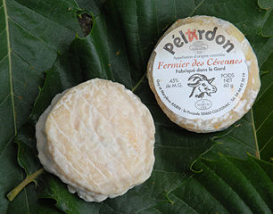 File:Pelardon-Pélardon des Cévennes.jpg