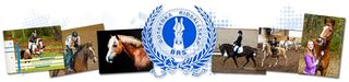 File:BRS.jpg