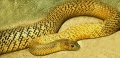 Thumbnail for version as of 20:22, 24 September 2012