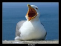 Thumbnail for version as of 12:11, 5 July 2012