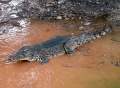 Thumbnail for version as of 19:29, 14 June 2013