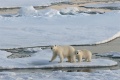 Thumbnail for version as of 12:39, 30 April 2012