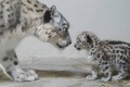 Thumbnail for version as of 07:19, 17 June 2014