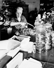 File:Zoologiste-Doris Mable Cochran (1898-1968)-7939.jpg