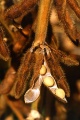 Thumbnail for version as of 13:35, 25 July 2011