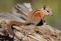 Thumbnail for version as of 21:29, 3 May 2010