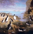 Thumbnail for version as of 10:07, 12 June 2014