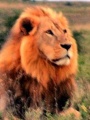 Thumbnail for version as of 16:00, 13 February 2012